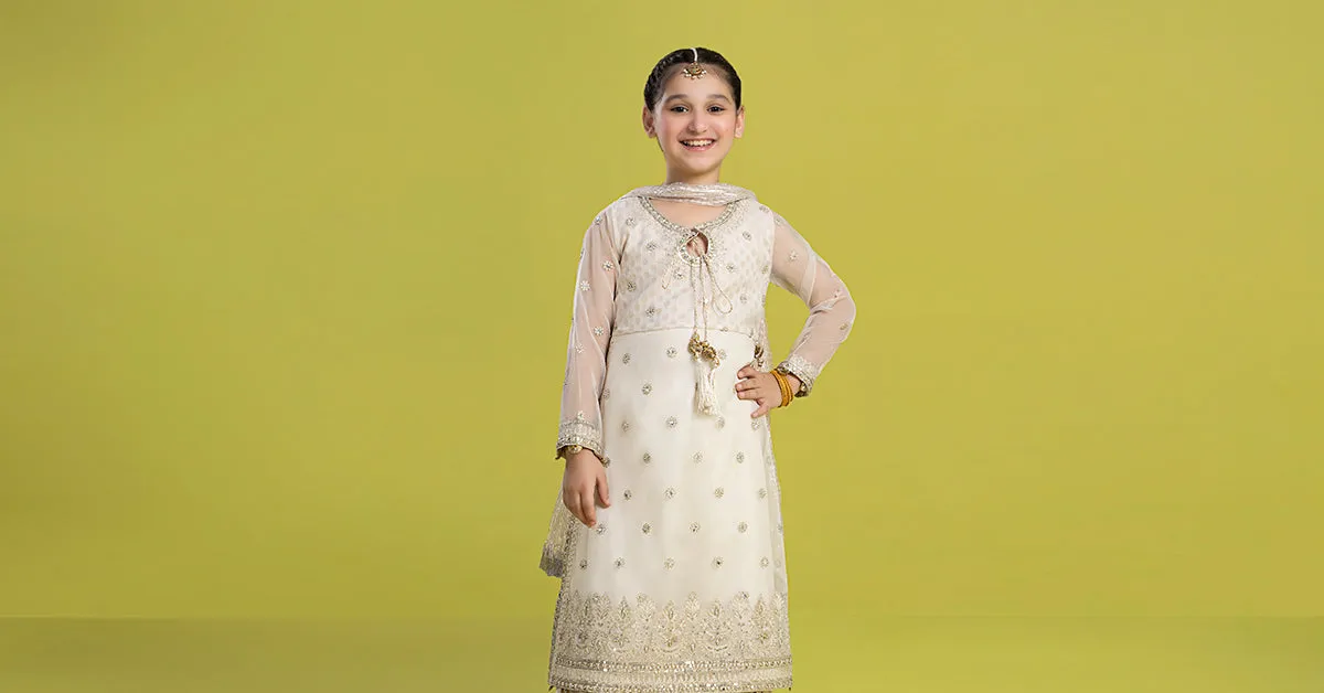 3 Piece Embroidered Organza Suit | MKS-EF24-25