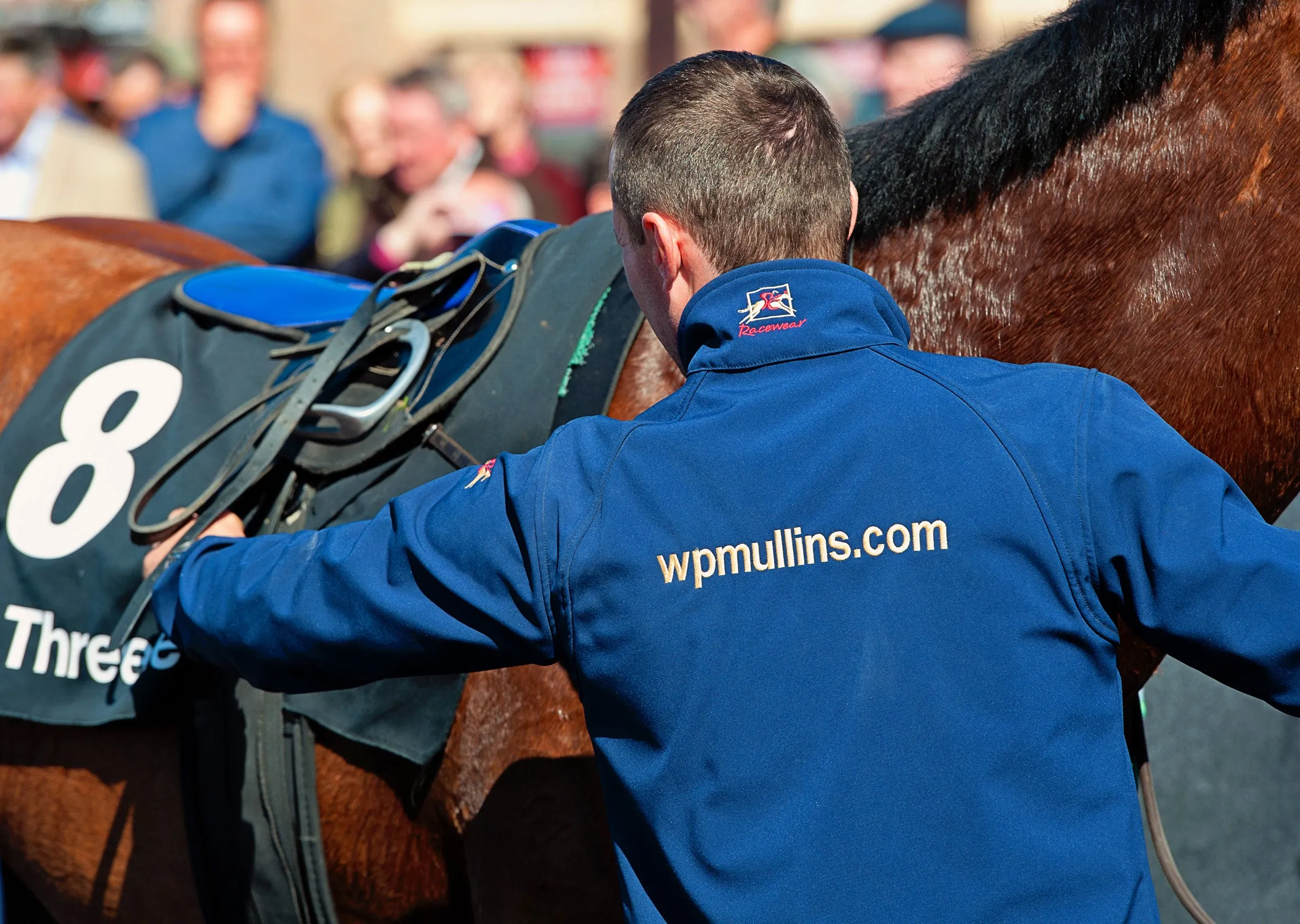 Adults Softshell Jacket | WP Mullins Collection - Navy