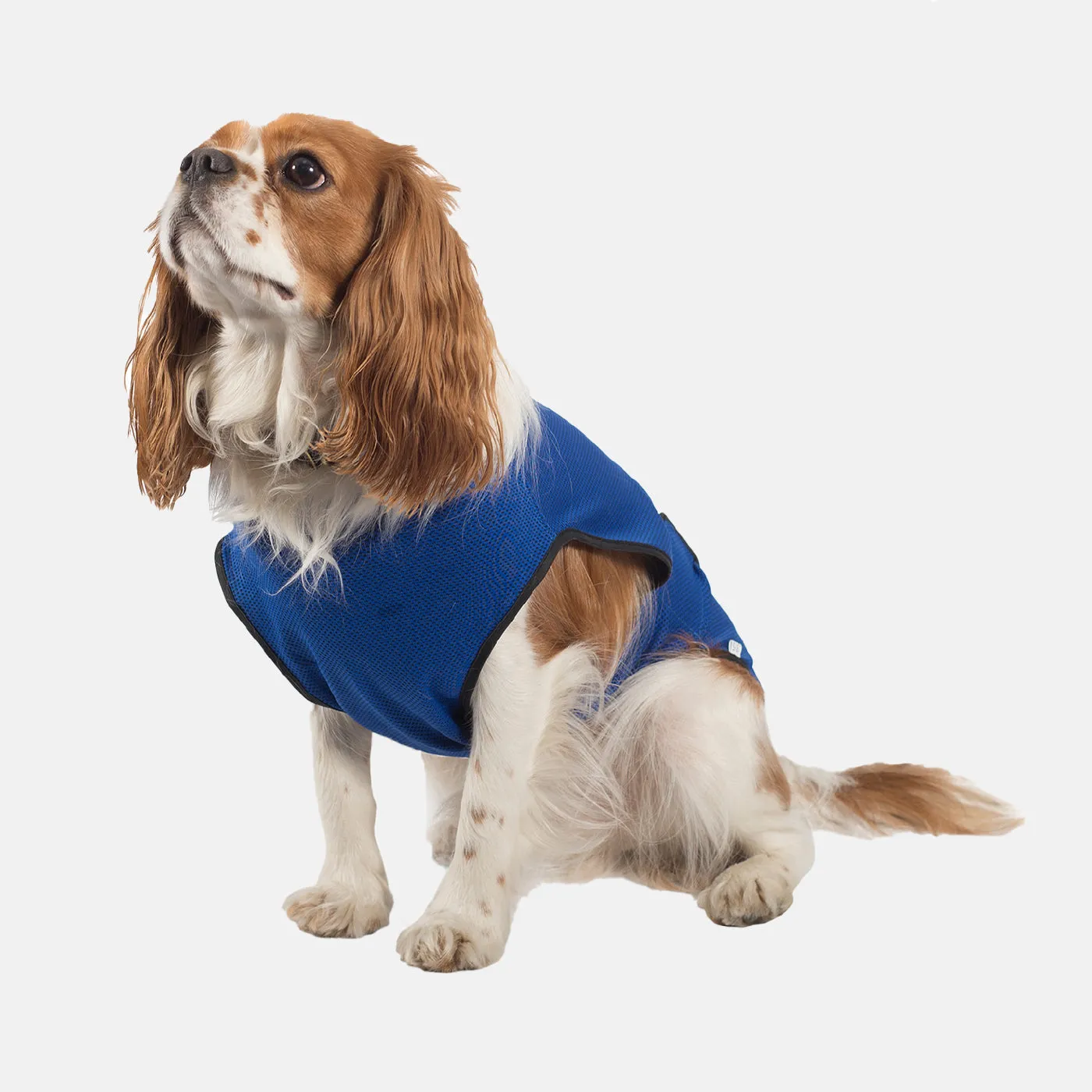 Ancol Dog Cooling Coat