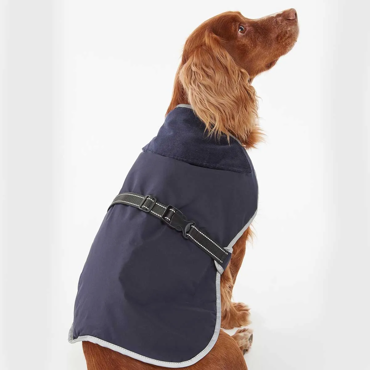 BARBOUR Monmouth Waterproof Dog Coat - Indigo