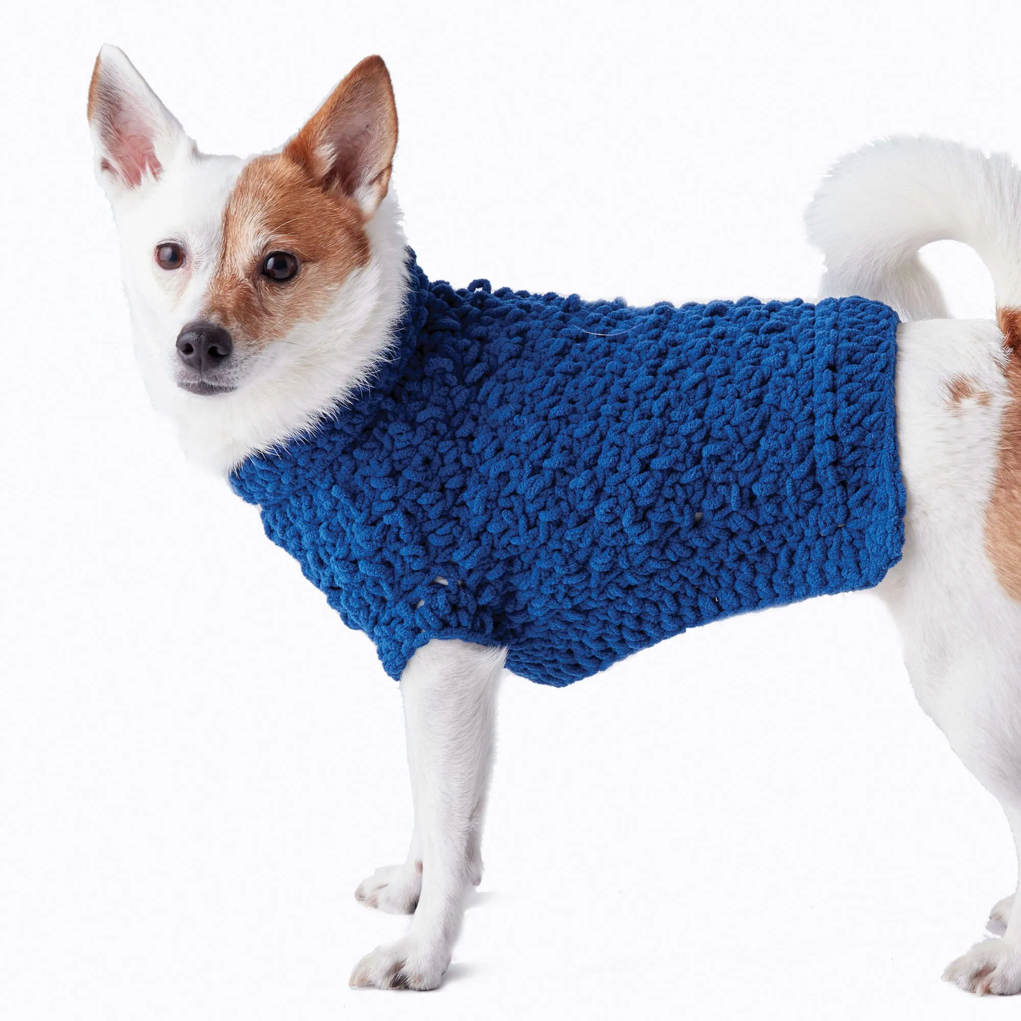 Bernat Pet Crochet Dog Coat