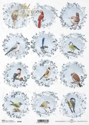 Bird Portraits R1968  - A4 8.3 x 11.7 Rice Paper by ITD Collection