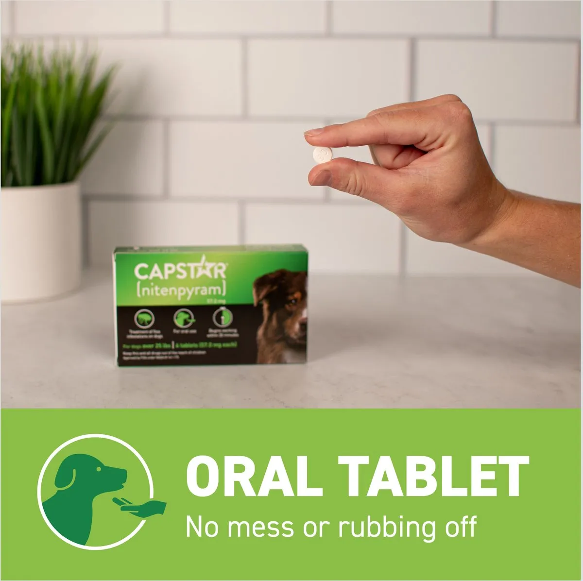 Capstar Flea Oral Treatment for Dogs