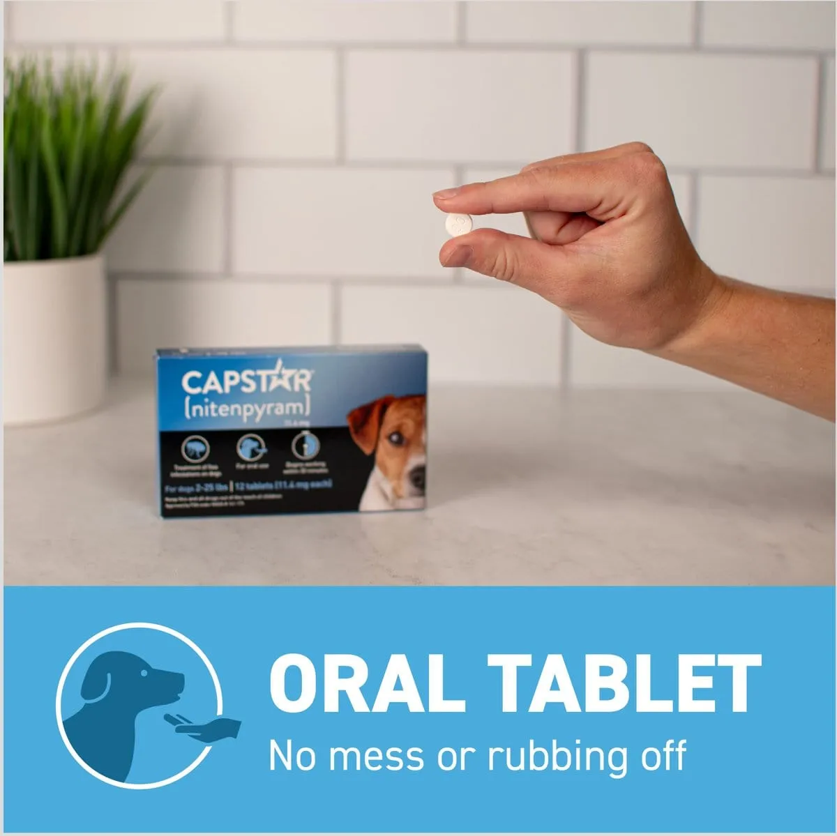 Capstar Flea Oral Treatment for Dogs