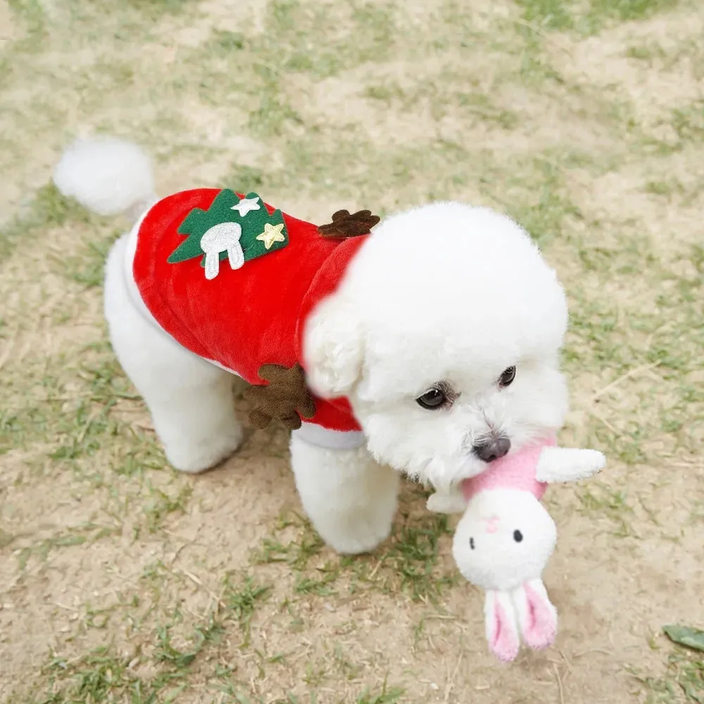 Christmas Santa Costume - Cats and Dogs