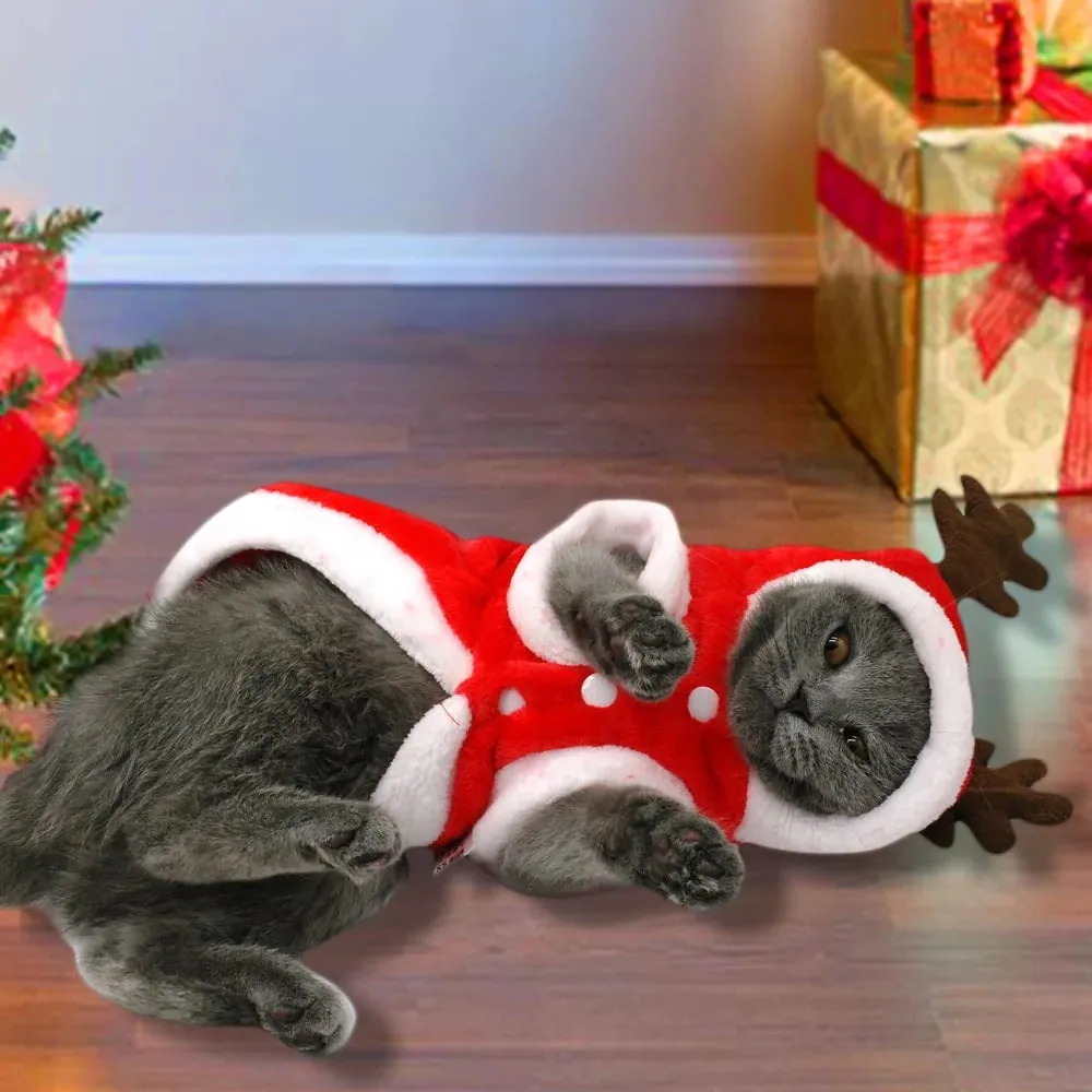 Christmas Santa Costume - Cats and Dogs