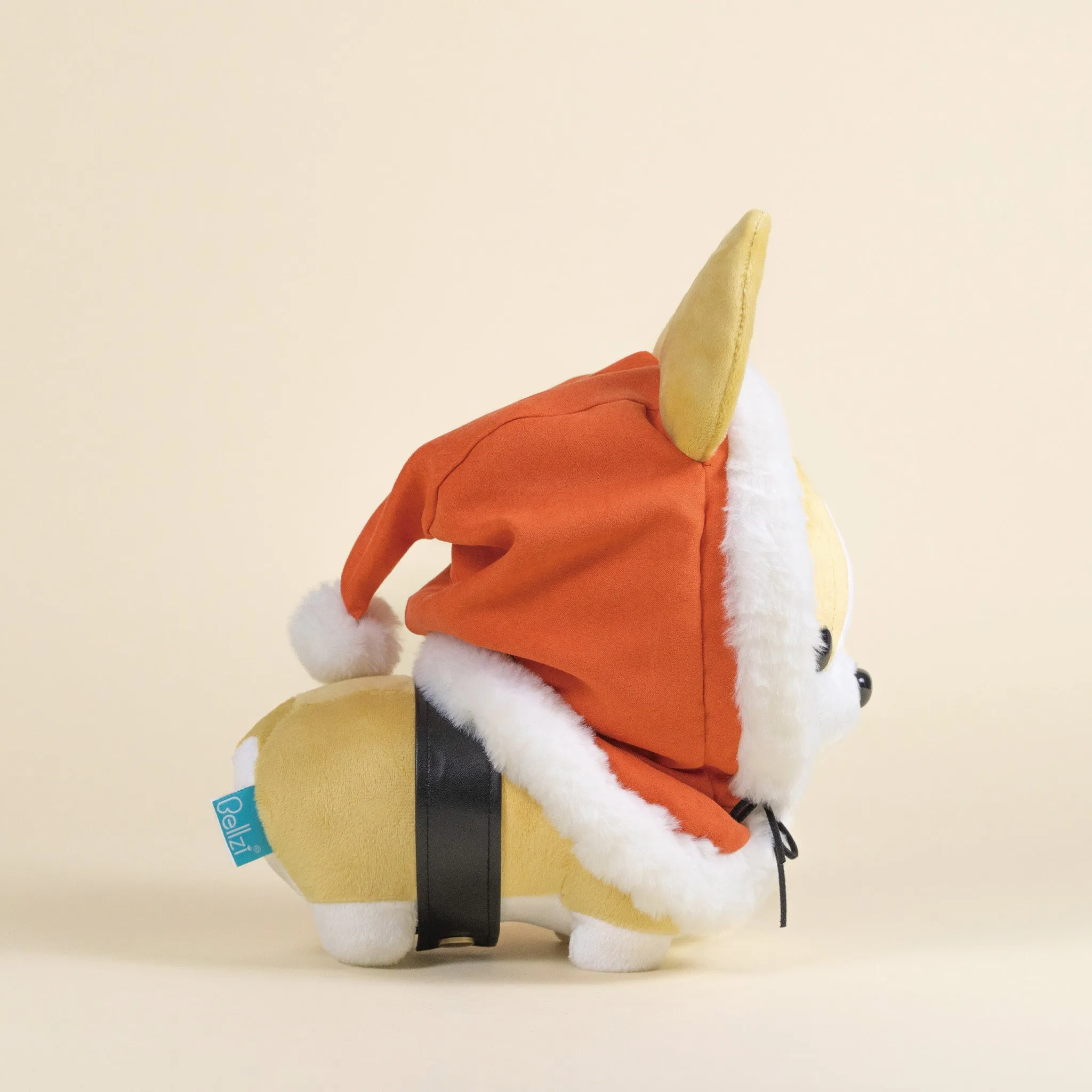 Corgi with Santa Outfit