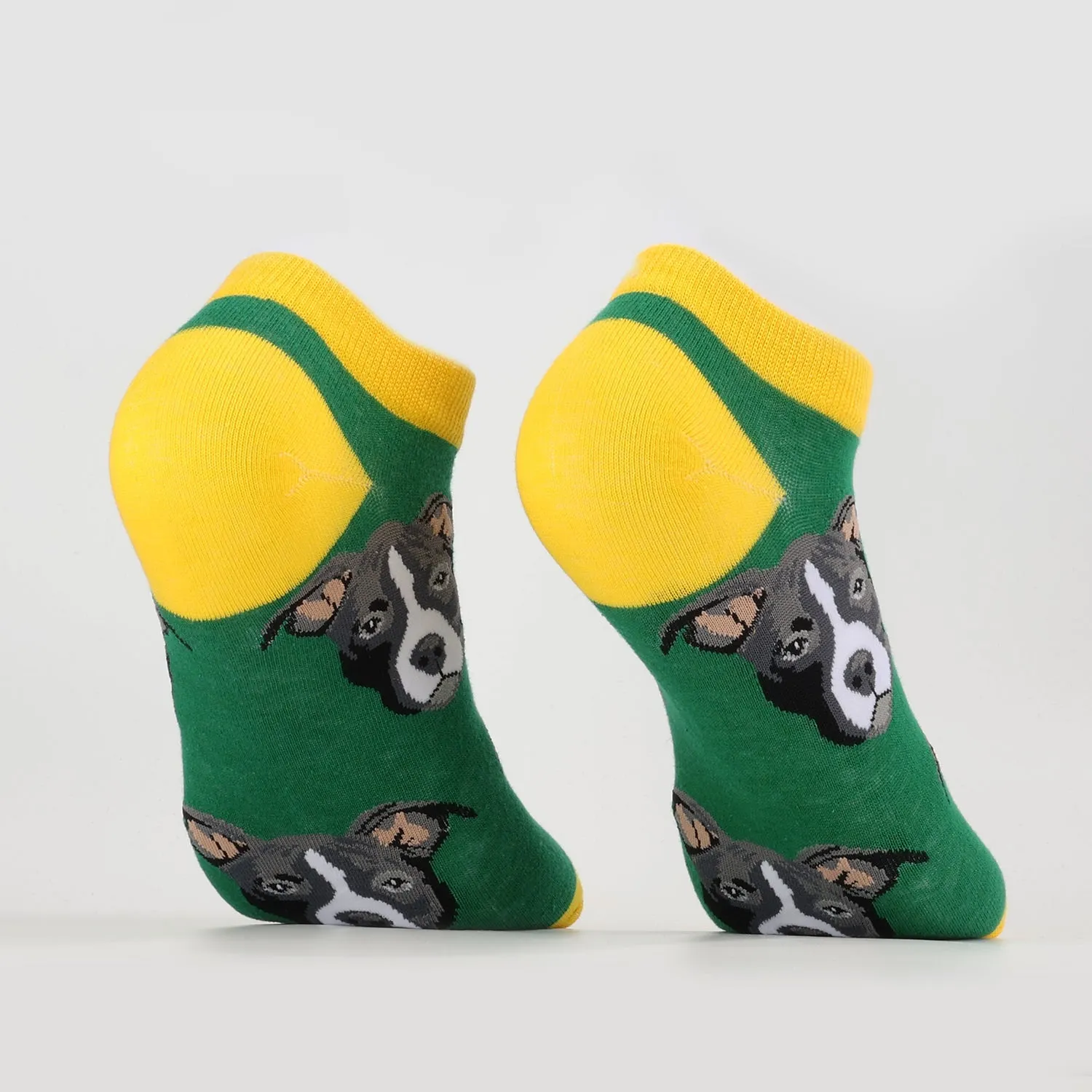 Funky Dog Socks