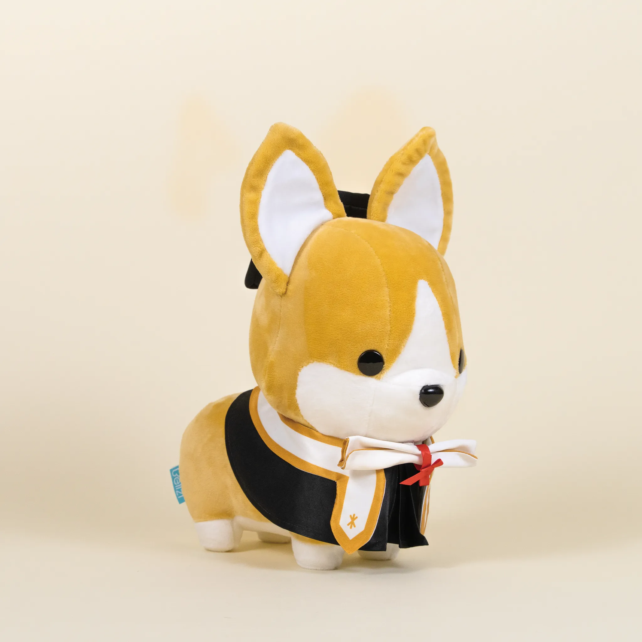 Graduation Corgi