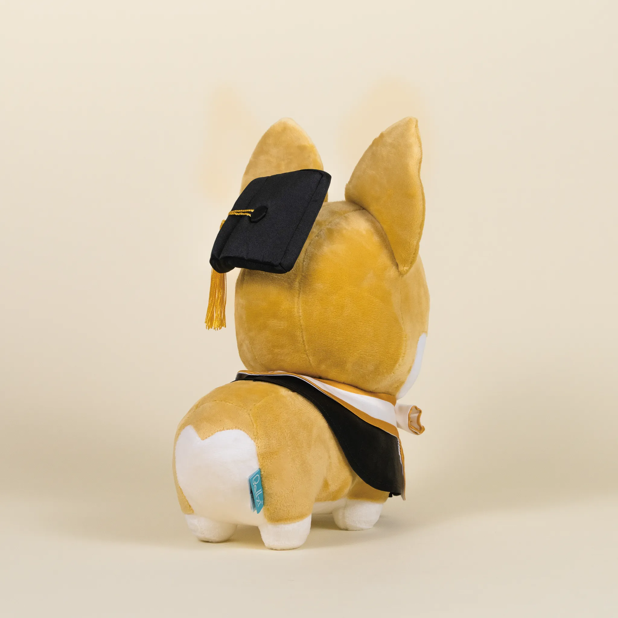 Graduation Corgi