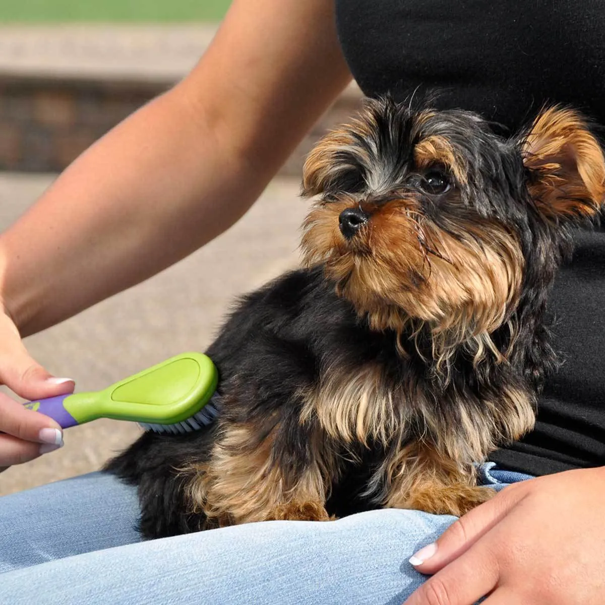 Li'l Pals Bristle Brush