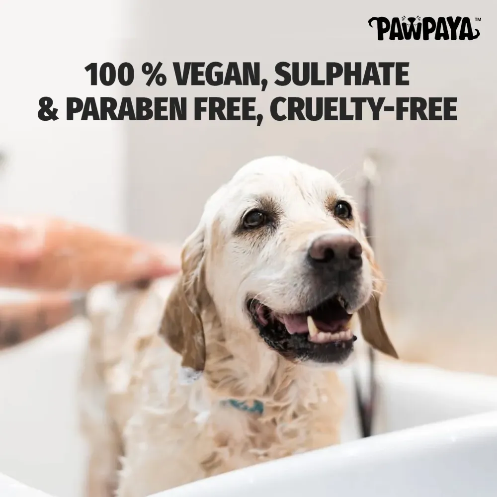 Pawpaya Anti Itch Shampoo for Dogs