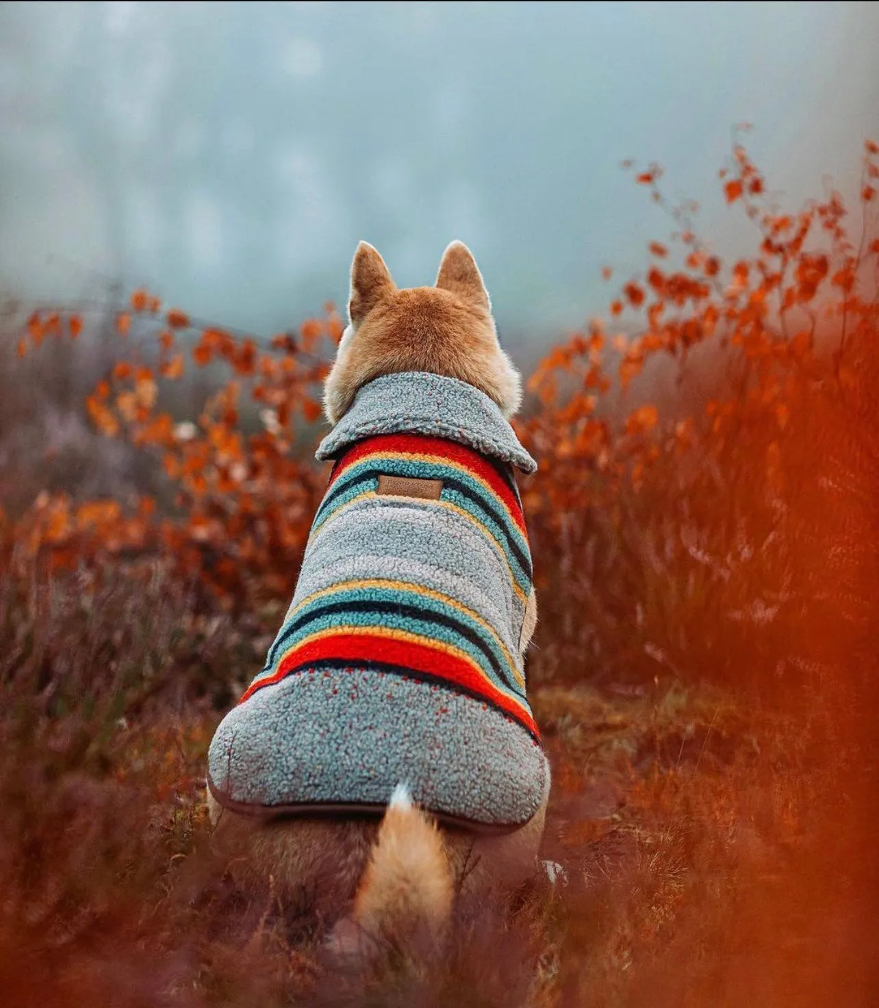 Pendleton Vintage Camp Coat | Heather Green