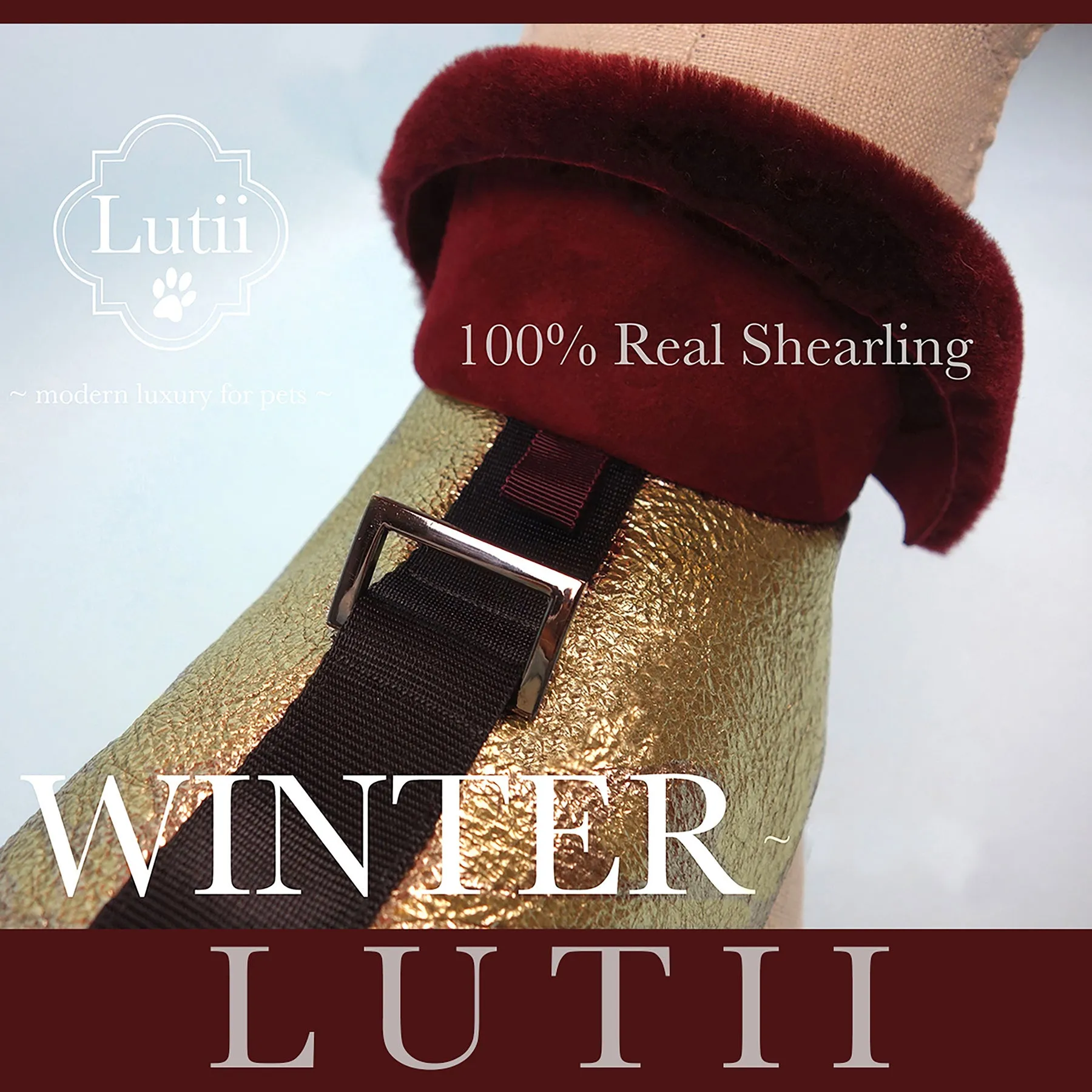 "Metallic Gold Rush"-100% shearling handmade gold winter dog coat