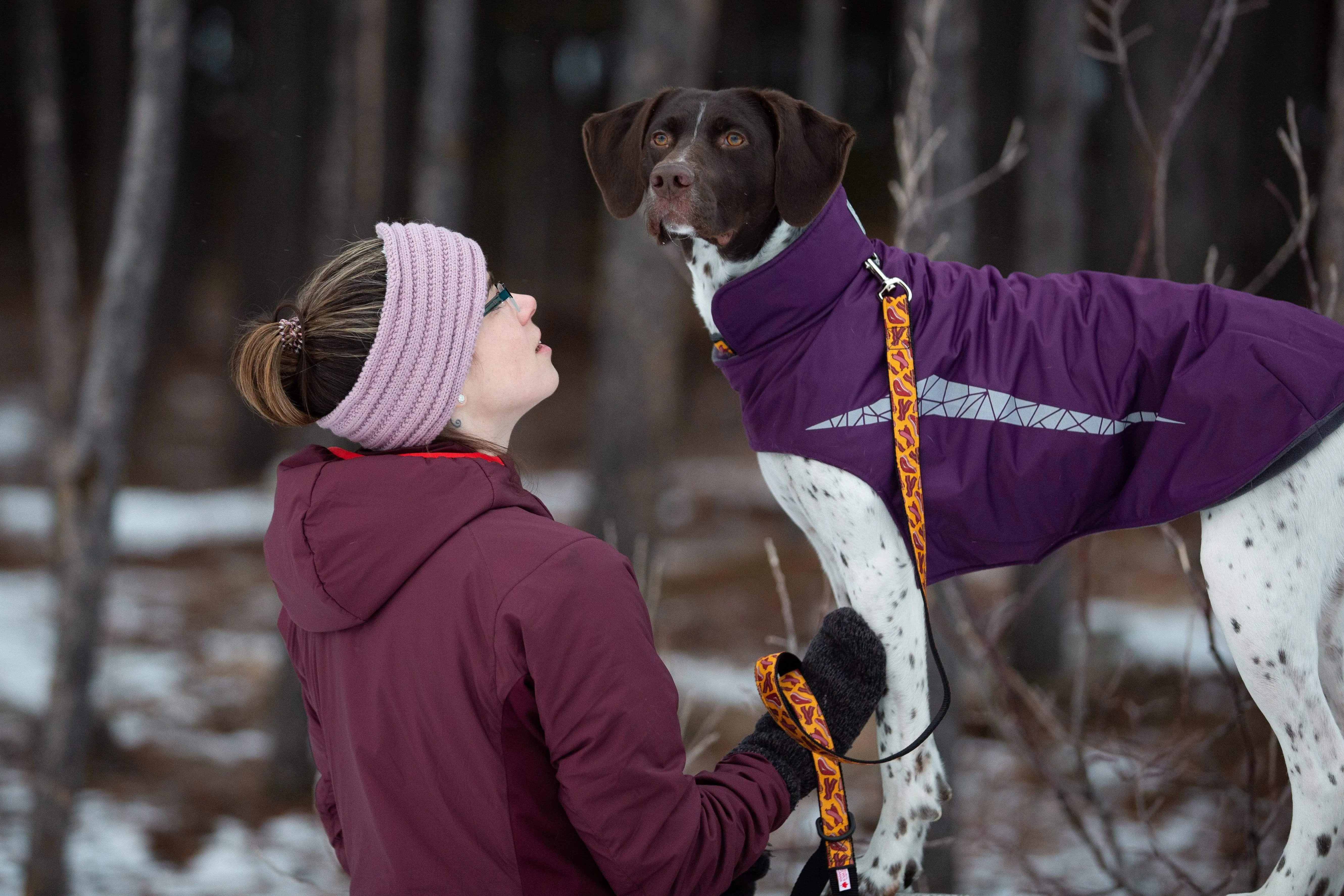 RC Pets Red Cascade Coat for Dogs